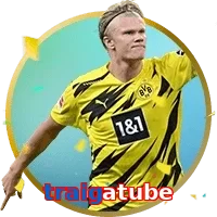 traigatube