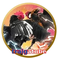 traigatube
