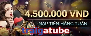 traigatube