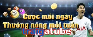 traigatube